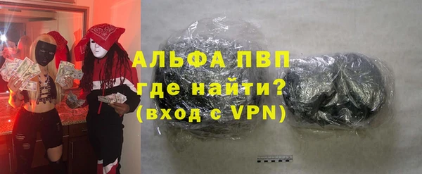 сатива Новокубанск