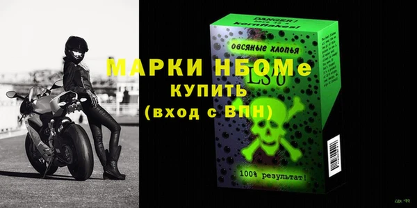 сатива Новокубанск