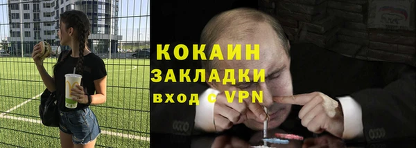 сатива Новокубанск