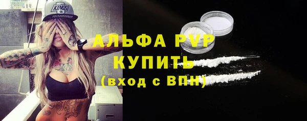 сатива Новокубанск