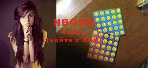 сатива Новокубанск