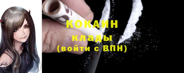 сатива Новокубанск