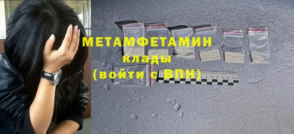 сатива Новокубанск