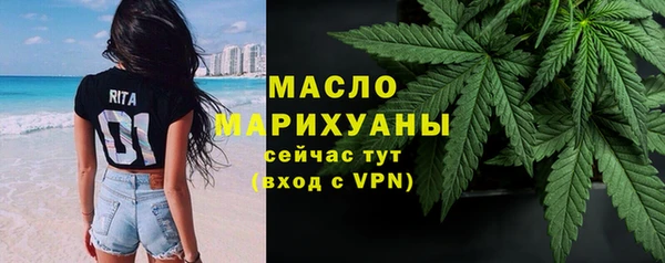 сатива Новокубанск