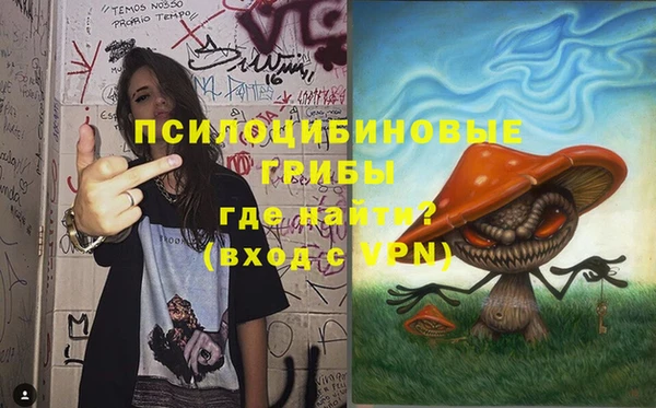 mdma Новозыбков