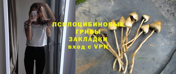 mdma Новозыбков