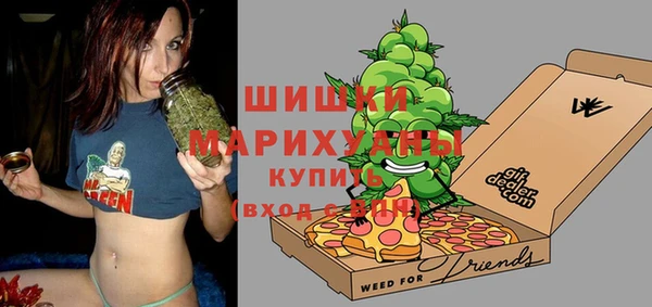 сатива Новокубанск