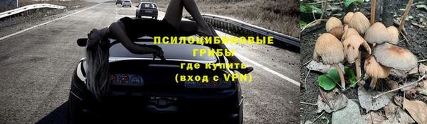 mdma Новозыбков